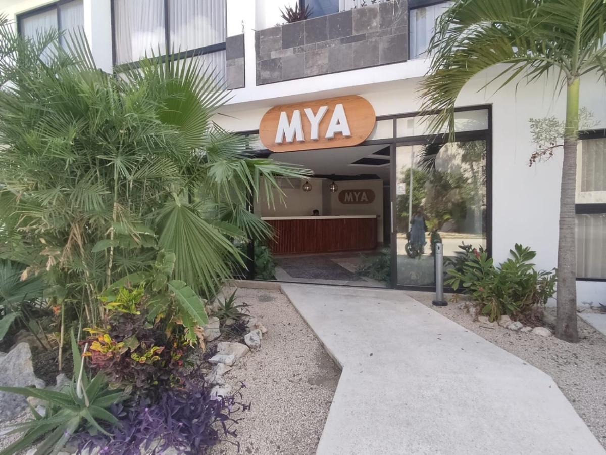 Nuevo Estudio Con Terraza Totalmente Equipado Tulum Aldea Zama Dış mekan fotoğraf